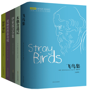 青少年想象力经典 名家名译 木偶奇遇记 爱丽丝漫游奇境 绿野仙踪 伊索寓言 飞鸟集