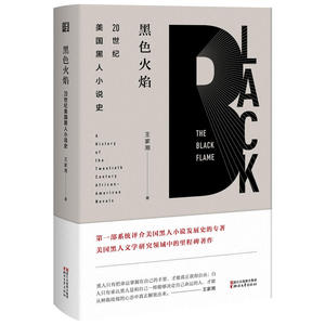 黑色火焰：20世纪美国黑人小说史