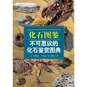 化石图鉴：不可思议的化石鉴赏图典