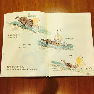 小狼豪威系列（全4册）