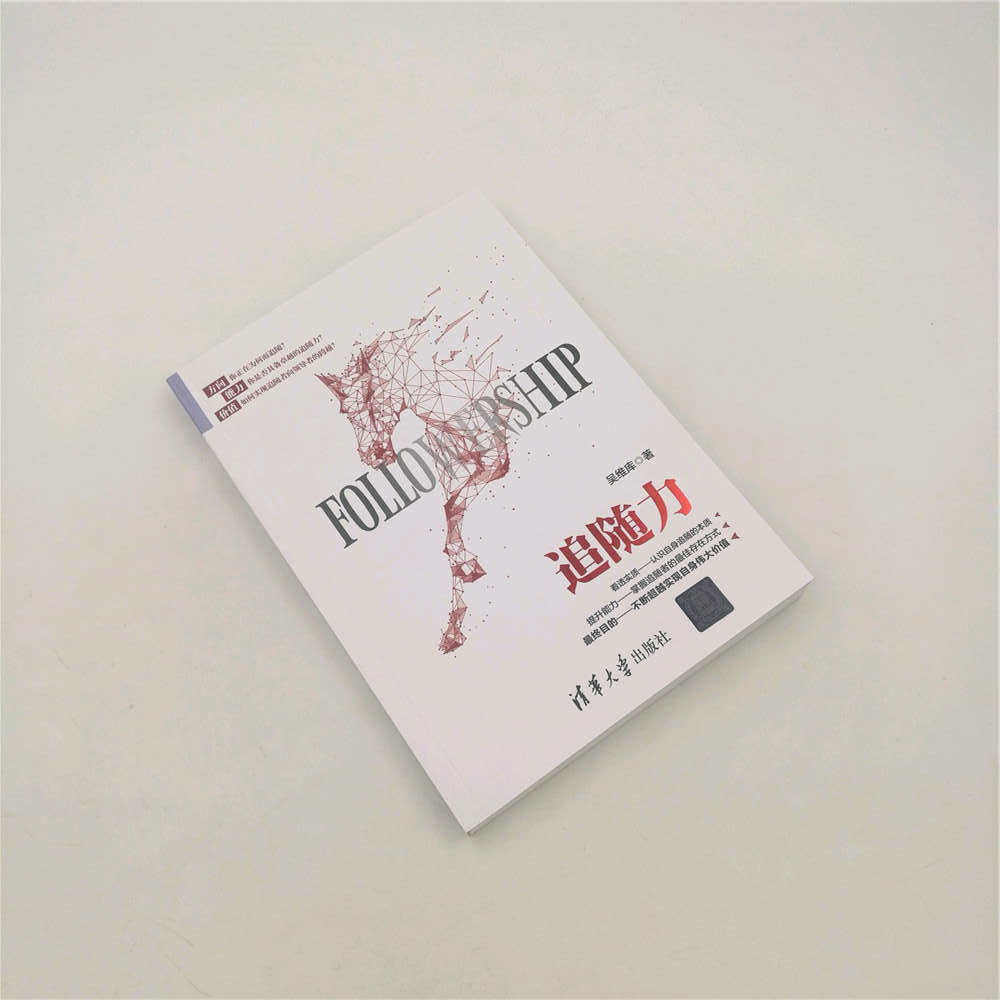 Руководство 追随力