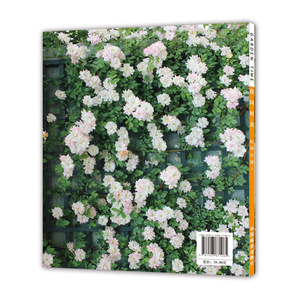 花园时光（玫瑰花园1）