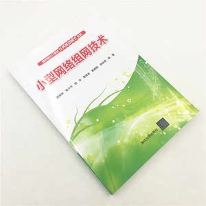 小型网络组网技术
