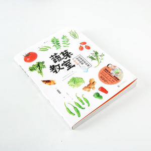 蔬菜教室（春夏） 应季蔬菜料理完全指南 内田悟のやさい塾 旬野菜の調理技のすべて 保存版 春夏