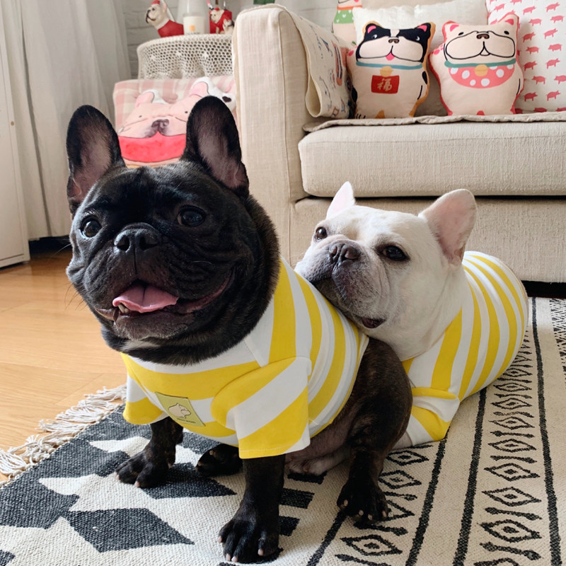 Original Design Dogs Pets Fardou Clothes Bago Fat Dog Spring Autumn Money small high collar Bottom Jersey Yellow Spot