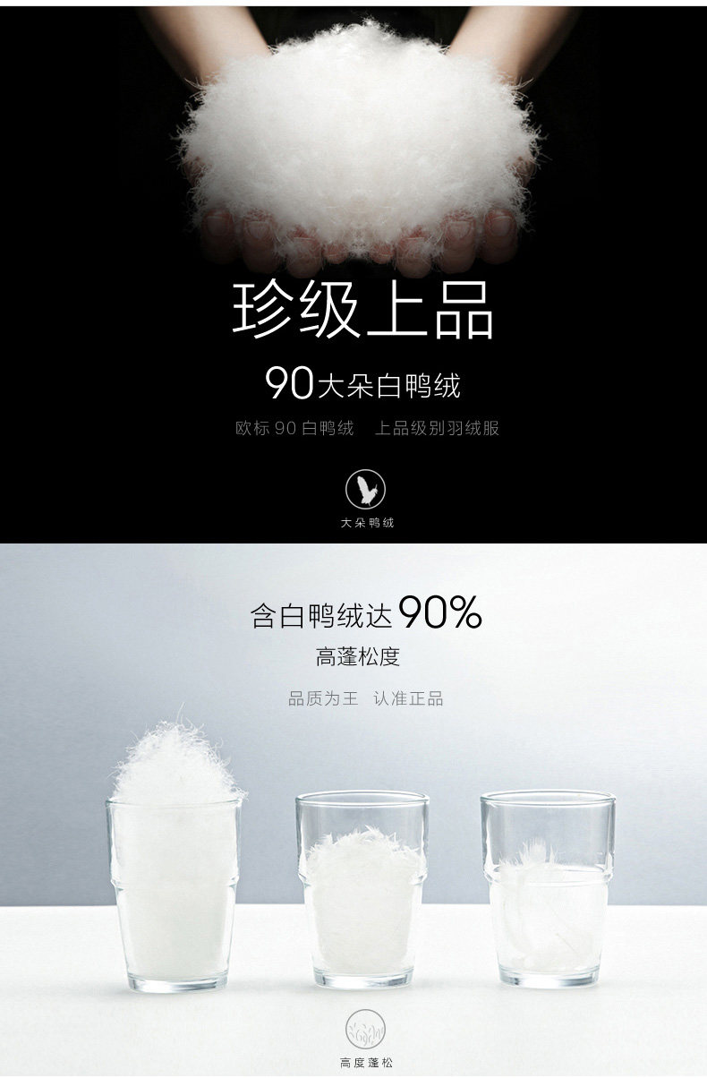 Blouson homme SEPTWOLVES    - Ref 3120668 Image 10