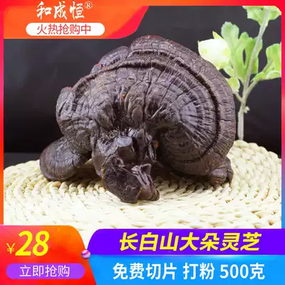 Zi Ganoderma lucidum, Northeast Changbai Mountain specialties Sperm Linzhi Chinese herbal medicine 500g soup soaking wine material sliced powder