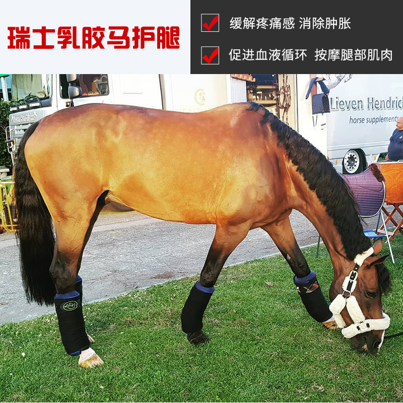 Latex horse leg guard horse tied leg relieves pain elimination swelling (suitable for training match transport) front legs-Taobao