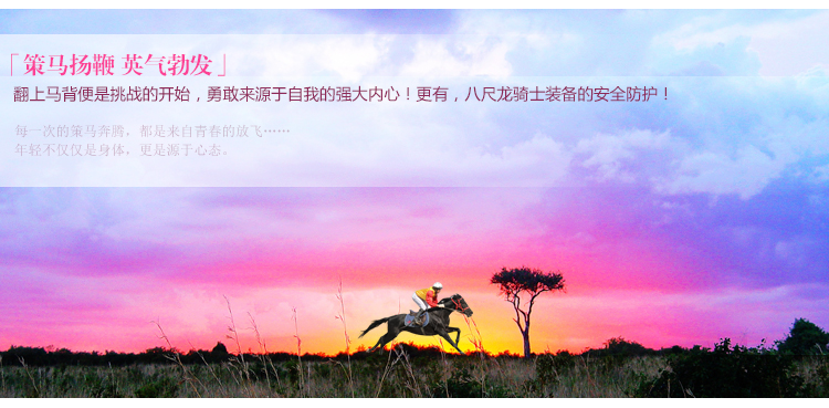 Article sports equestres BASLONG - Ref 1379795 Image 12