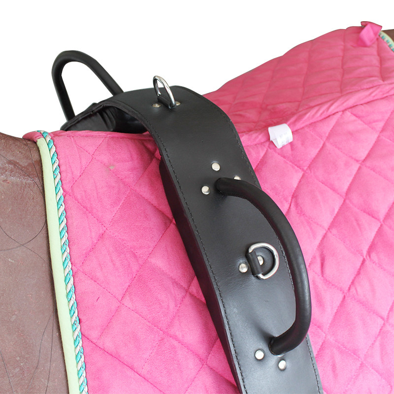 Horse back gymnastics backpack cowhide wear resistant eight-foot dragon harness BCL222203