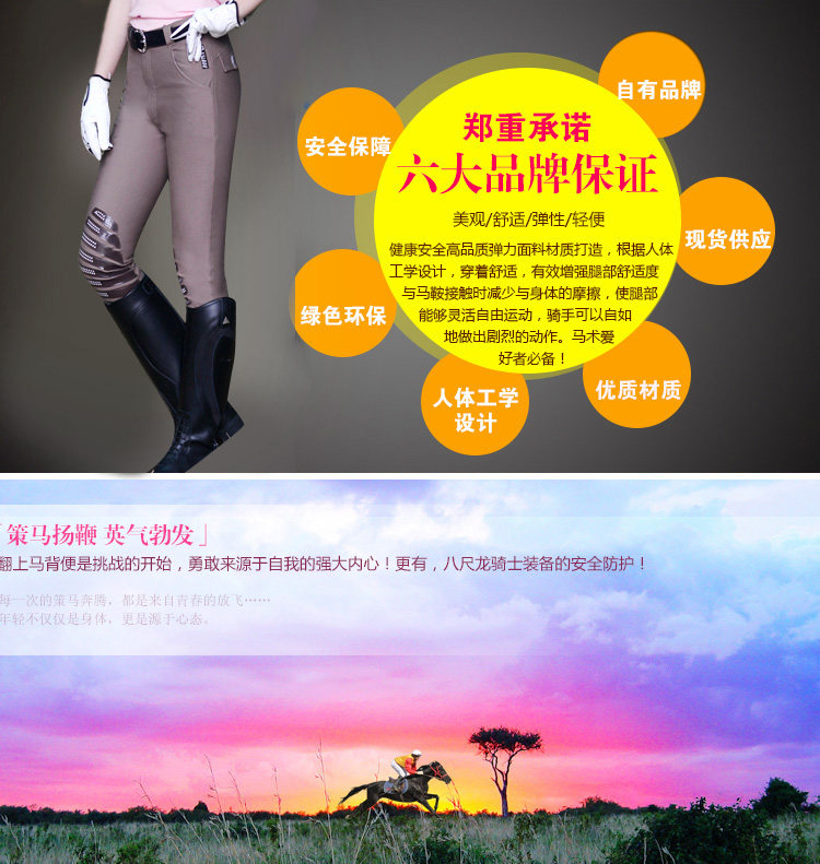 Article sports equestres BASLONG - Ref 1387157 Image 16