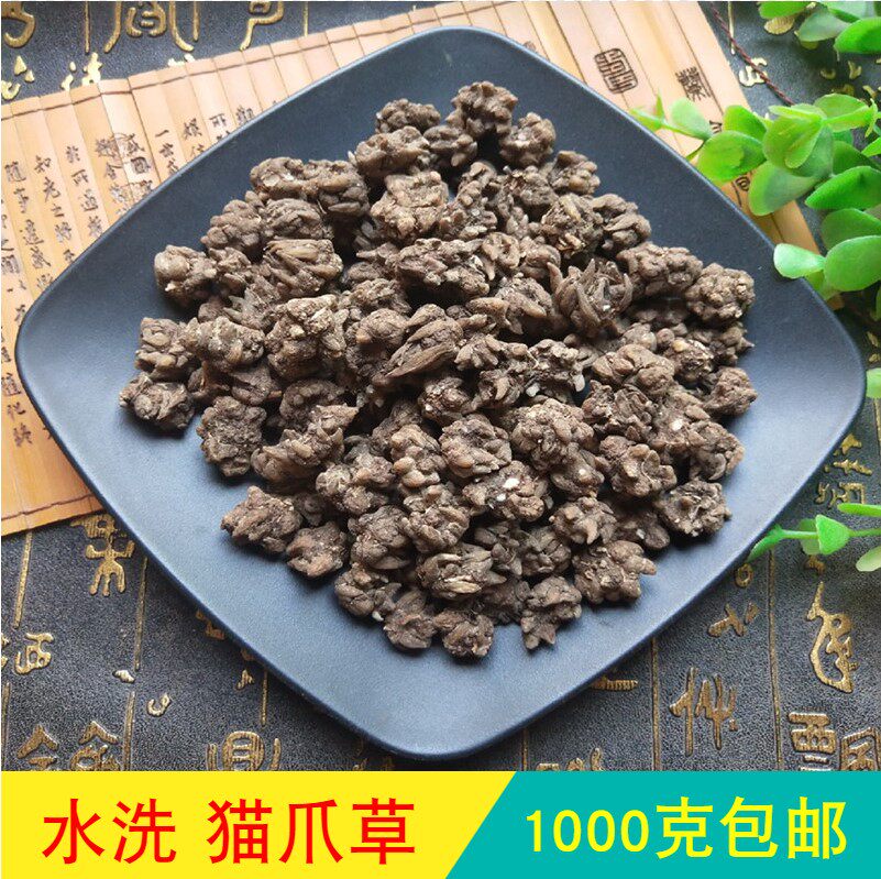 Angguo Chinese herbal medicine batch of cat grabbing grass without sulphur cat claw grass wild water washed with small cat paw grass uniform 1 kg