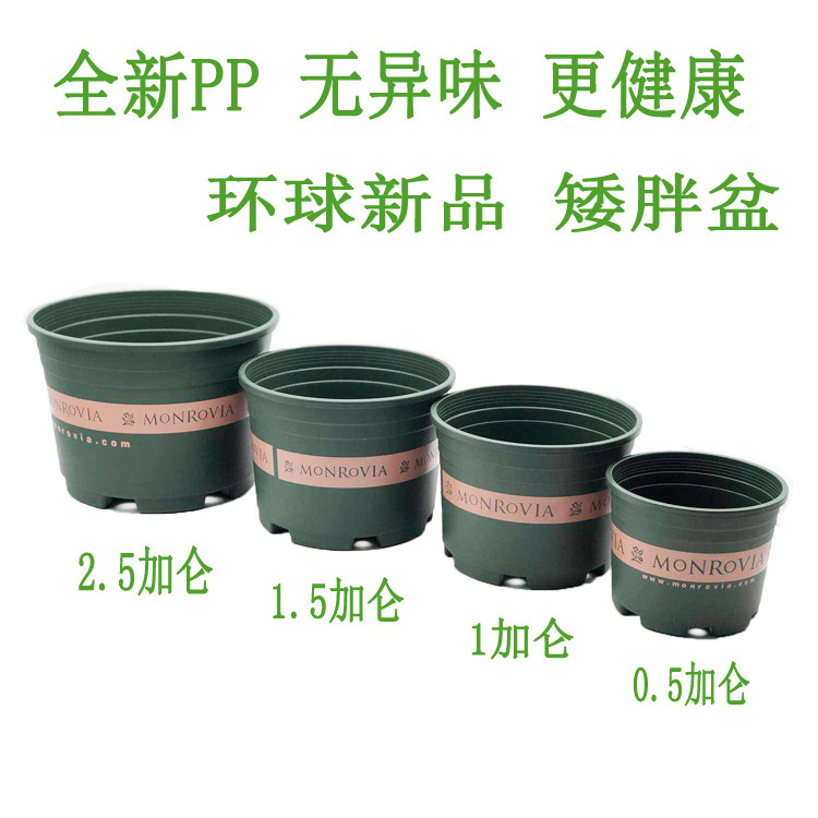 Global Fat Gallon Flower Basin Moon Green Rose Plant Flower Pot General Size Plastic Hortiling Tool
