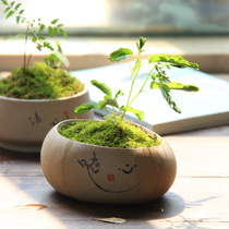 Qian Mu en pastoral simple ceramic fleshy flowerpot stoneware Japanese countertop Vase ornaments