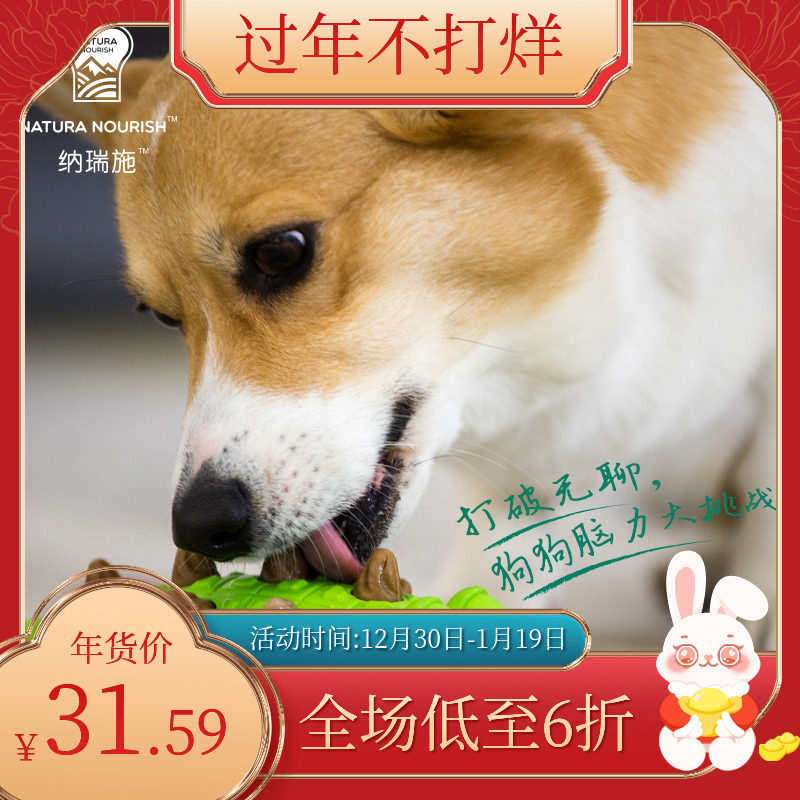 Narrisch Dinosaur Crocodile Young Toy Cocky Teddy Grinding Teddy Tooth-resistant Dog Snacks