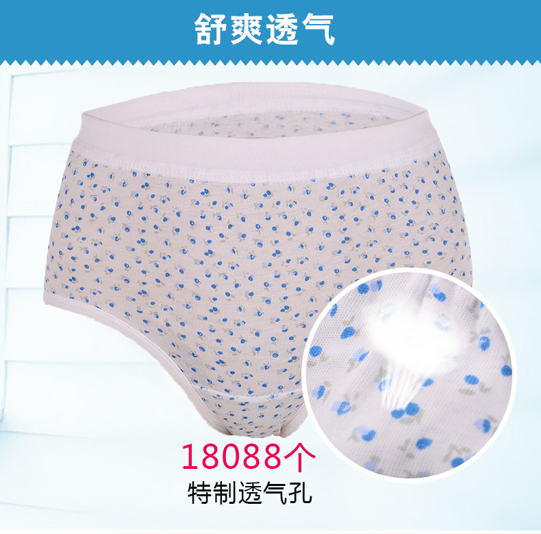 Slip Moyen-âge en coton - Ref 643131 Image 9