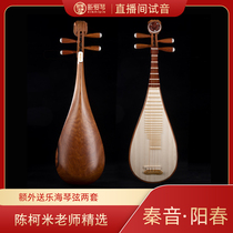 Qinyin pipa Yangchun Austenitic sandalwood Advanced playing pipa acid branch wood quality