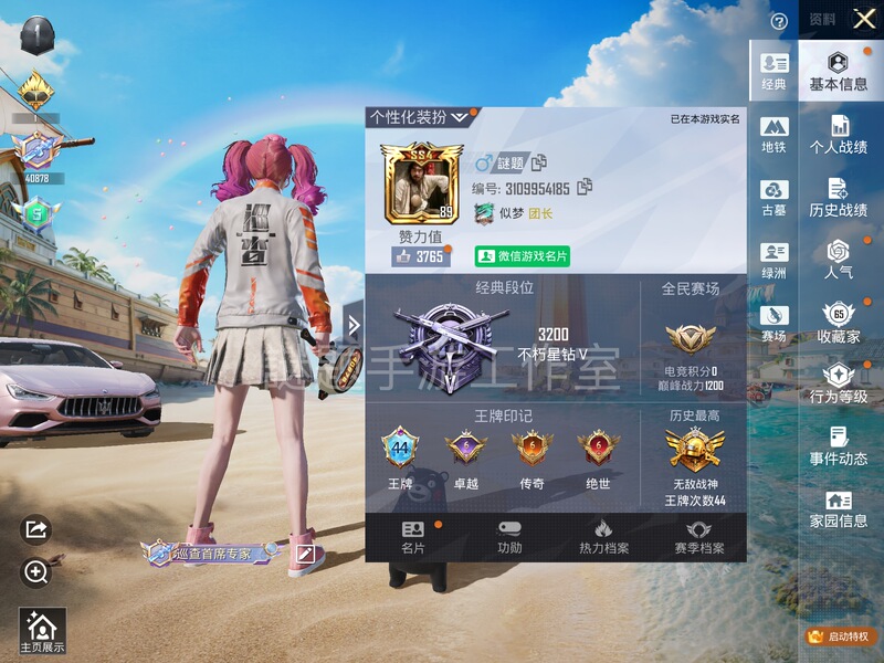 Peace Elite Service for Getting Inspection Uniforms, Securing Inspection Privileges, Conducting Inspections, and Ensuring Title Promotions