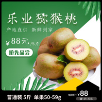 Guangxi Leye County kiwi fruit freshly picked sweet and juicy 5 catties small fruit