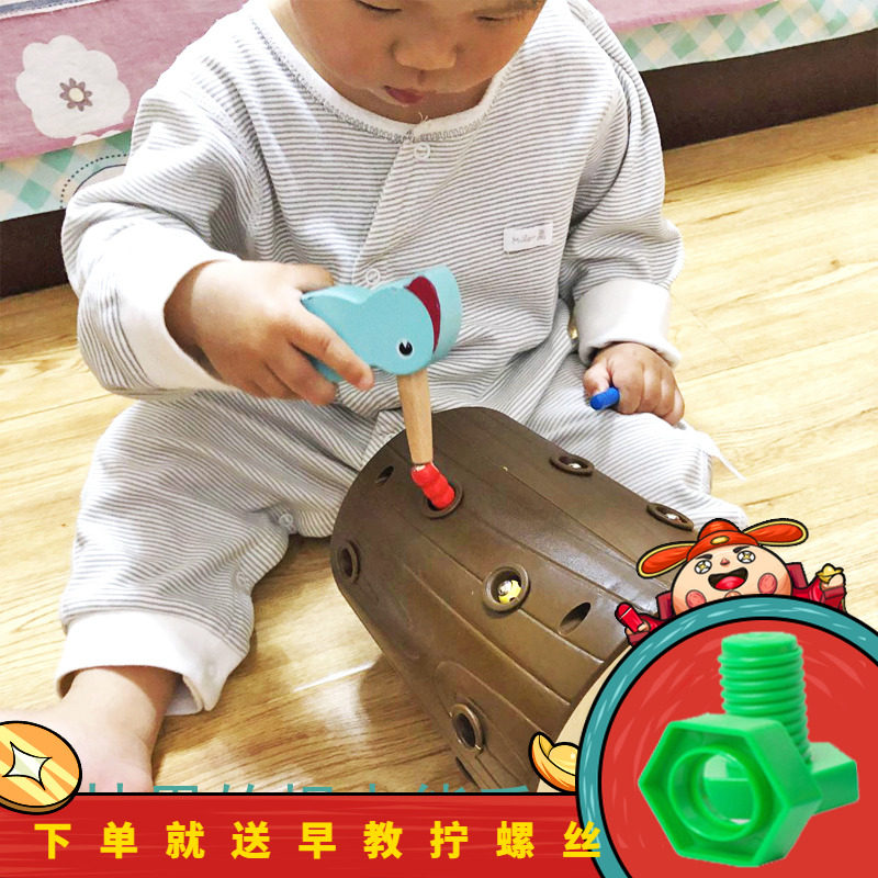 Baby boy puzzle action brain 1-2-year-old 3 boys girls peck birds eat catch and catch bugs play magnetic phishing toys