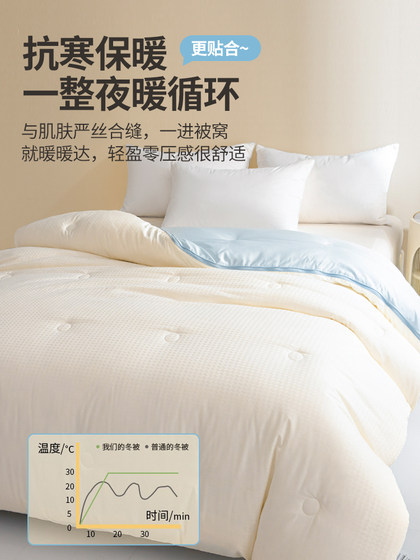 MUJI Class A quilt core quilt mother quilt two-in-one zipper spring and autumn quilt thickened warm winter quilt quilt