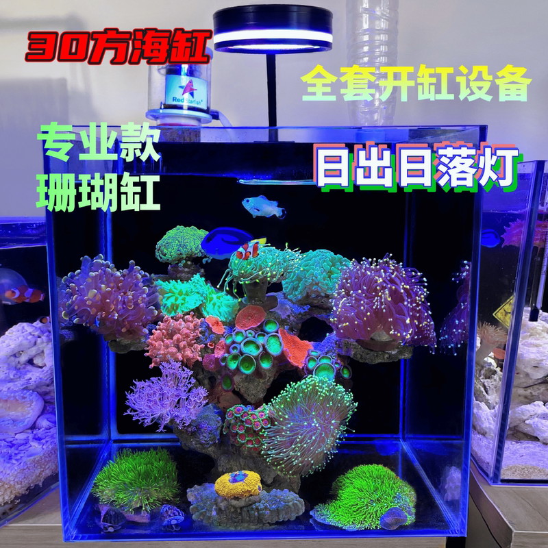 30 Square Meter and 40 Square Meter Saltwater Aquariums, Clownfish, Coral, Backfilter Aquariums, Nemo and Dory Saltwater Tanks, Egg Filter Saltwater Tanks, Saltwater Aquarium Lights