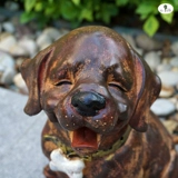 Сад - старая милая щенка бесплатная доставка золотисто -волос собачья смола орнамент ресторан цветочный магазин вилла