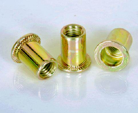 A flat head riveting nut lahat with 100 copies only