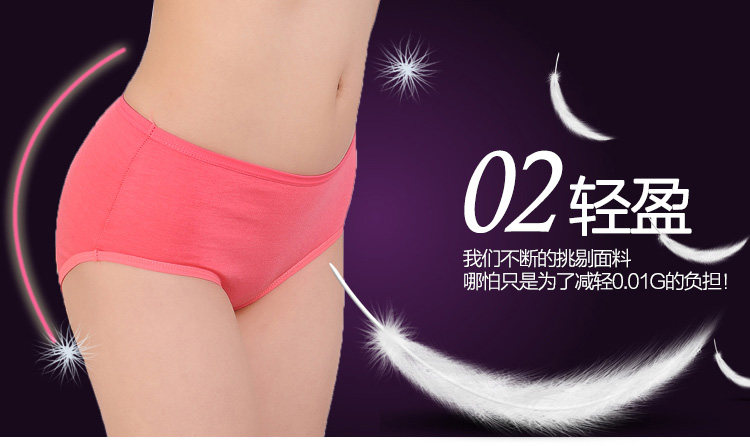 Slip jeunesse simple en coton - Ref 643044 Image 15