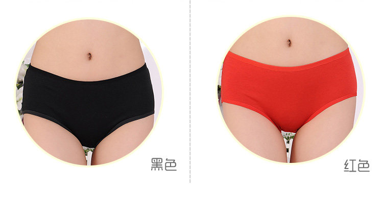 Slip jeunesse simple en coton - Ref 643044 Image 25