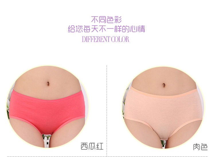 Slip jeunesse simple en coton - Ref 643044 Image 22