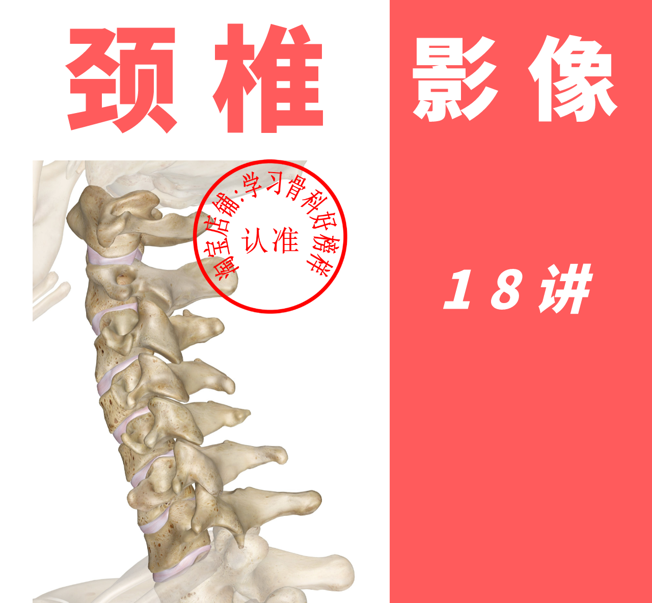2021 spine cervical thoracic lumbosacral imaging orthopedic film nuclear magnetic resonance CTX line MRI course radiation tutorial training