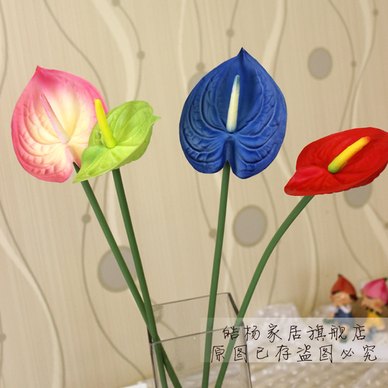 ���pu���ʺ��Ʒ��滨