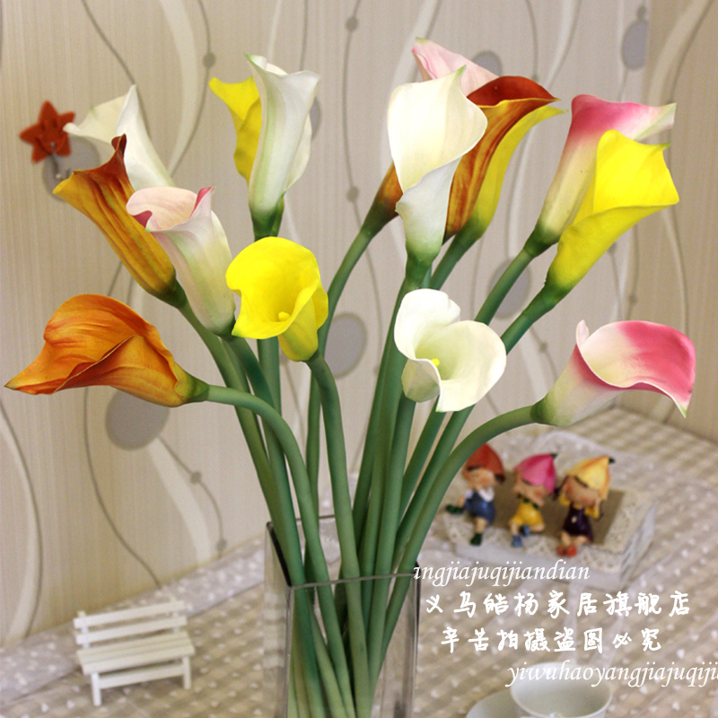 ����ɫ���������滨������