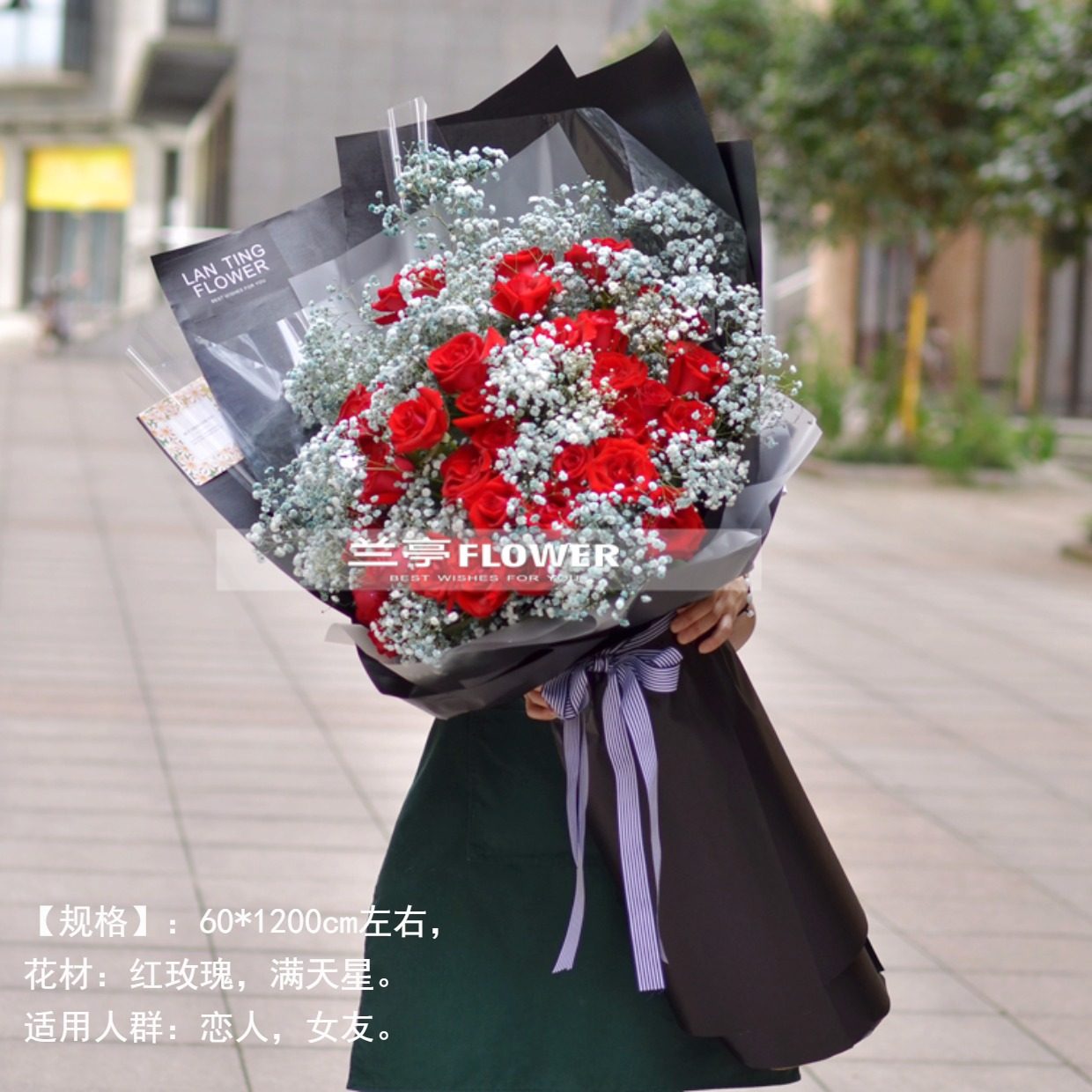 玫瑰满天星花束花语,点缀,玫瑰花语(第19页)_大山谷图库