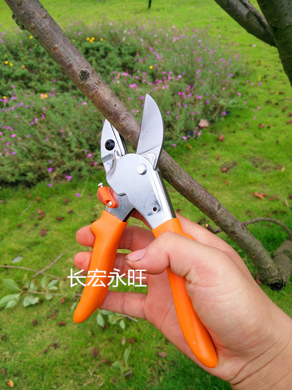 Garden tools flower scissors pruning shears fruit picking branch shears rough branch shears dry branch shears gardening scissors labor-saving gardening