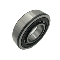 Japanese bearing NU303 304 305 306 307 308 309 E M T W C3