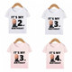BabyBirthdayKidsT-shirt boys and girls baby boss birthday children's T-shirt pink short-sleeved