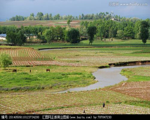 The spleen and stomach round face yellow is prone to irritable bloating without forming chi so much is also fat and spleen main earth and everything-Taobao