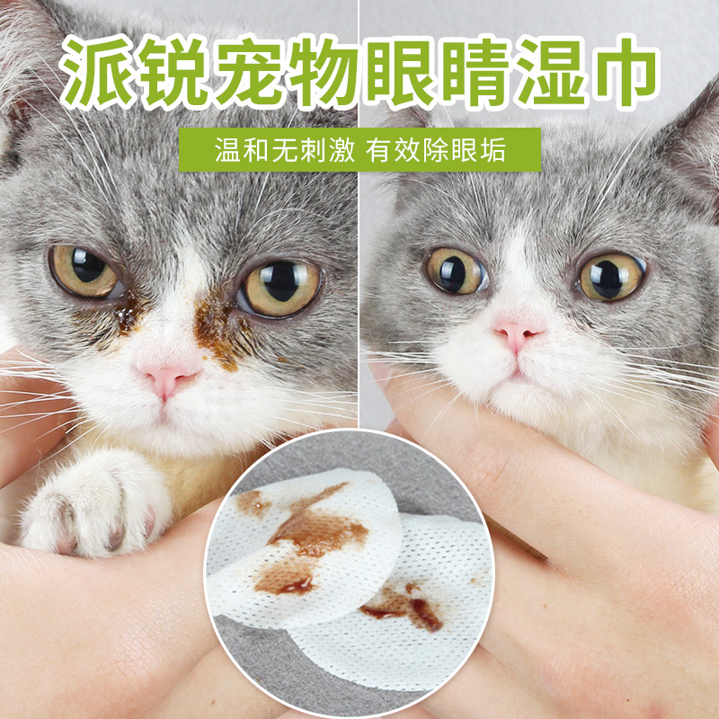 Net Red Popcorn Cat to Tears Tears Away with Bears Tommey Teddy Young Cat Pooch Pets Wet Towels