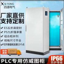 IP66PLC Imitation Witu Cabinet Electrical Control Cabinet ES Five Fold PS Nine Fold Imitation Wittcabinet Vertu Set to do