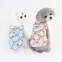 Gilet de coton gilet de coton velouté en peluche dhiver Bears Snow Narui Petit chien gilet de coton Beauté chiots vêtements