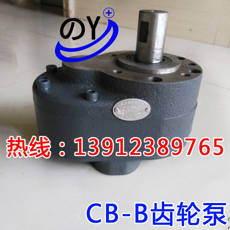 Wuxi City Jiyu Hydraulic Hydraulic Piece Plant Lubrication Pump Oil Transfer Oil Pump Gear Pump CB-B125 B6 B10 B10 Pump Motor Group