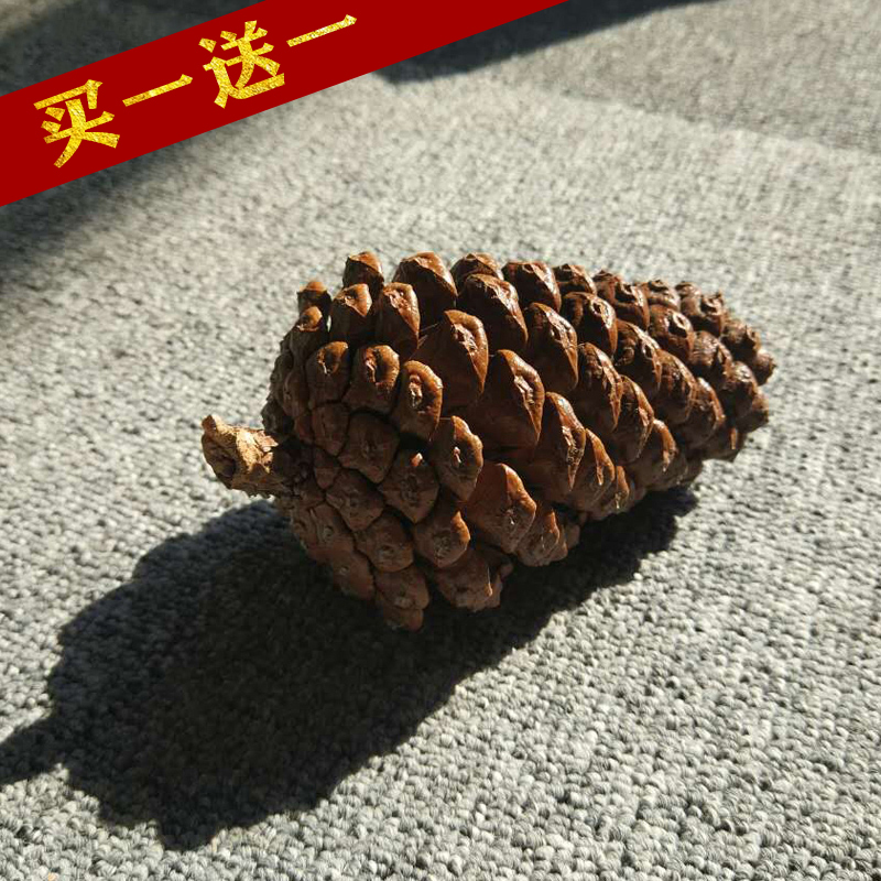 [Abundant Fruits] Extra-Large Wild Pine Cones, Original Natural Dried Flower Decorations, Feng Shui Ornaments