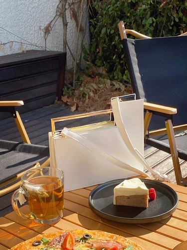 Металлический небольшой дизайнерский орган, барсетка, сумка на одно плечо, сумка для телефона, небольшая сумка, коллекция 2023, новая коллекция