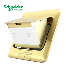 Schneider ground plug Schneider network plug