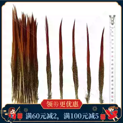 Pheasant red arrow DIY graduation design Pheasant red pointed hair Copper chicken red Arrow craft gift decoration headdress decoration feathers