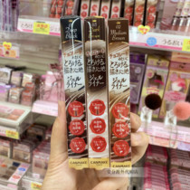 (2 pieces minus 5) Japan CANMAKE Ieda very fine eyeliner waterproof 1 5mm black brown New color 0405