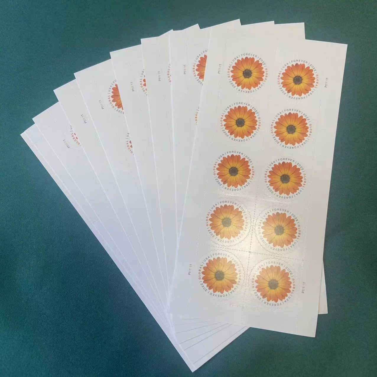 美国邮票国际版10张/100枚2022非洲菊花黄防伪永久可跨国款邮寄信-淘宝网