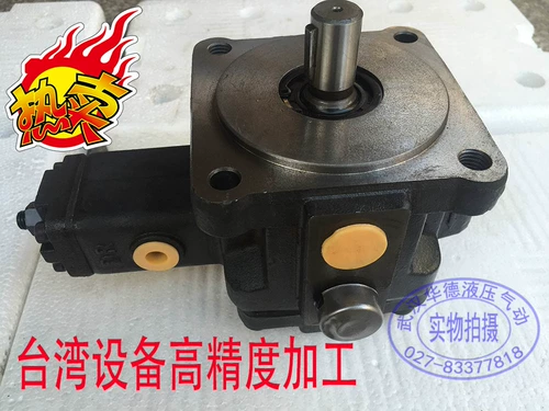 Переменные VPC лезвия насос 2 л.с. Деребный двигатель с двойным подключением VP-20/12/15/8-FA3 VP-30/40-70